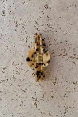 Sophia Acetate Hair Claw Clip - Light Tort - The Self Styler