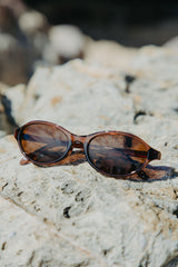 Sunglasses on a rock with a blurred natural background