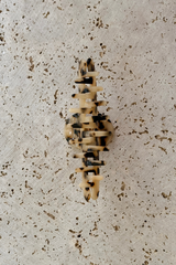 Milani Acetate Loop Hair Claw Clip - Light Tort - The Self Styler