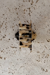 Charlie Acetate Hair Claw Clip - Light Tort