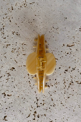 Sophia Acetate Hair Claw Clip - Caramel - The Self Styler