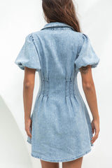 Flynn Denim Mini Dress - The Self Styler