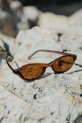 Brown sunglasses on a textured stone surface